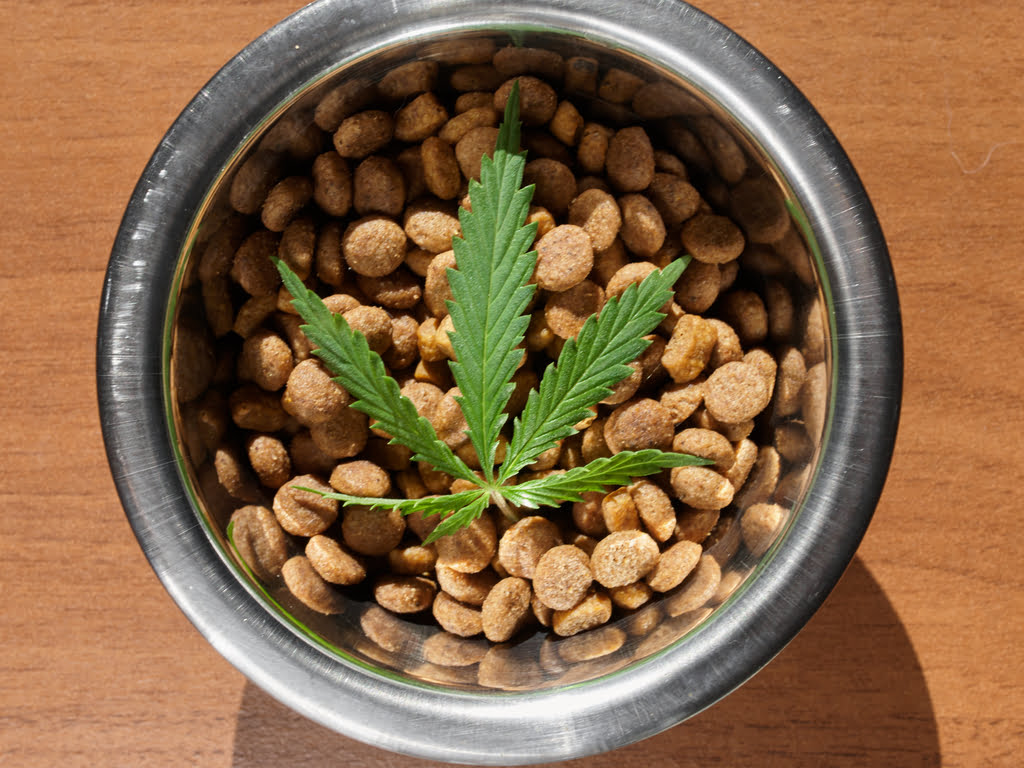 You can mix CBD in your pet's food. You can mix CBD in your pet's food.